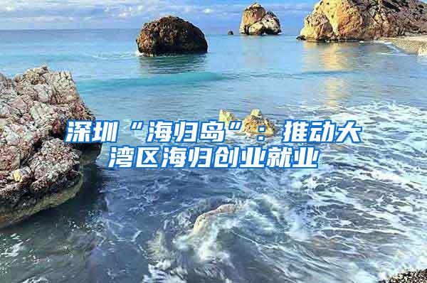 深圳“海归岛”：推动大湾区海归创业就业