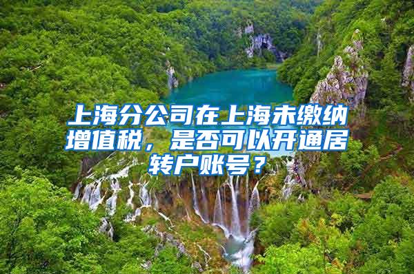 上海分公司在上海未缴纳增值税，是否可以开通居转户账号？