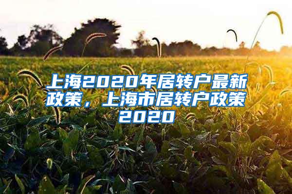 上海2020年居转户最新政策，上海市居转户政策2020