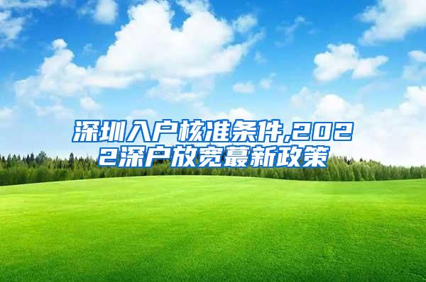 深圳入户核准条件,2022深户放宽蕞新政策