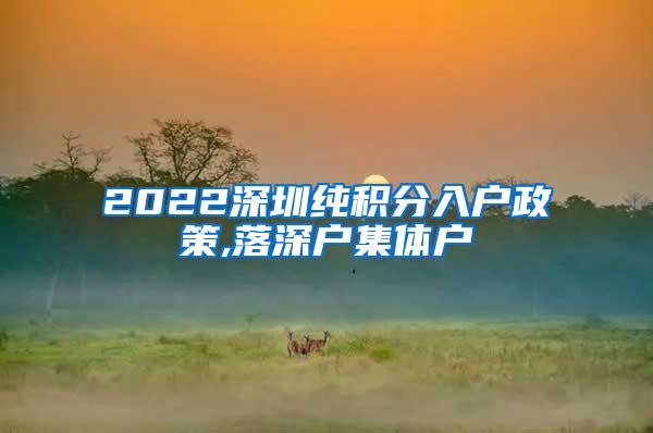 2022深圳纯积分入户政策,落深户集体户