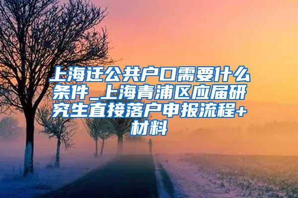 上海迁公共户口需要什么条件_上海青浦区应届研究生直接落户申报流程+材料