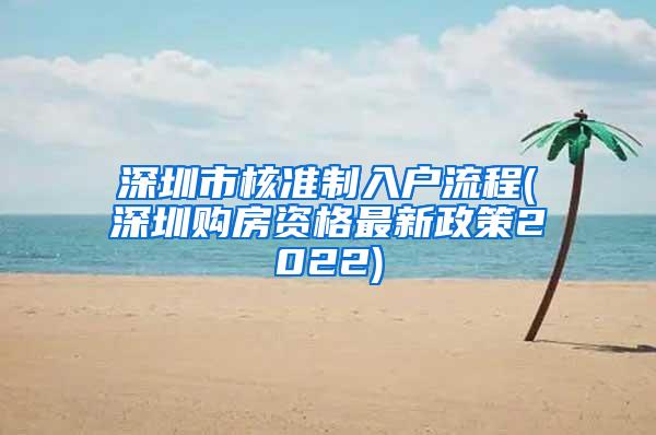 深圳市核准制入户流程(深圳购房资格最新政策2022)