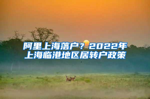 阿里上海落户？2022年上海临港地区居转户政策