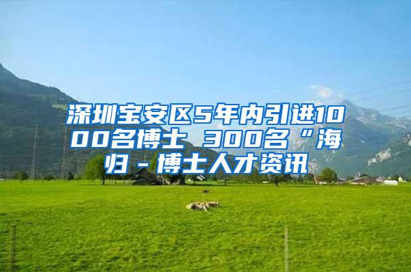 深圳宝安区5年内引进1000名博士 300名“海归－博士人才资讯