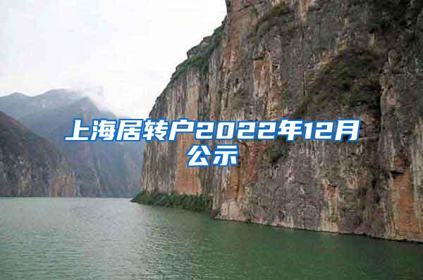 上海居转户2022年12月公示