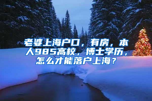 老婆上海户口，有房，本人985高校，博士学历，怎么才能落户上海？