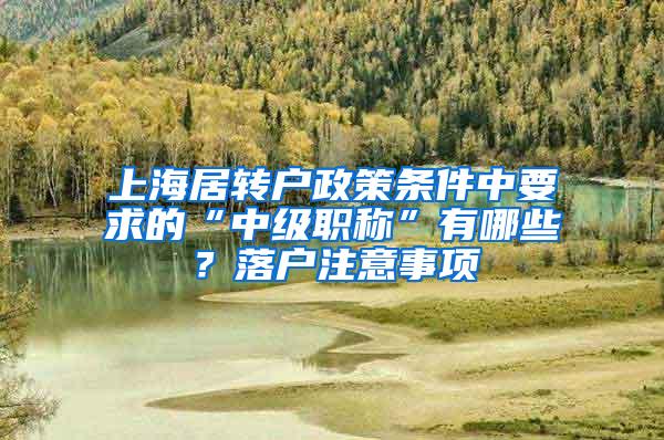 上海居转户政策条件中要求的“中级职称”有哪些？落户注意事项