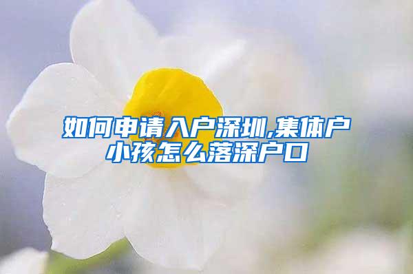 如何申请入户深圳,集体户小孩怎么落深户口