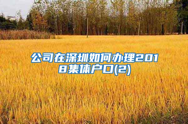 公司在深圳如何办理2018集体户口(2)