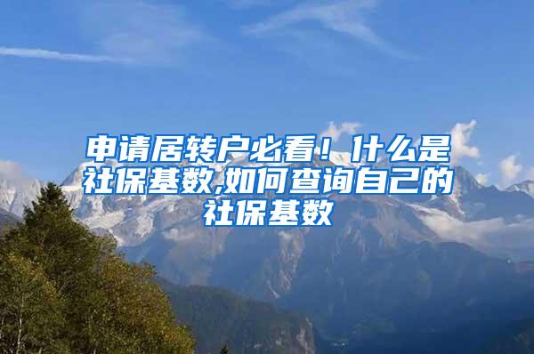 申请居转户必看！什么是社保基数,如何查询自己的社保基数