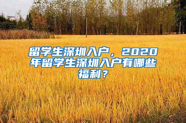 留学生深圳入户，2020年留学生深圳入户有哪些福利？