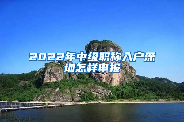 2022年中级职称入户深圳怎样申报