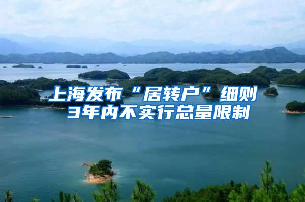 上海发布“居转户”细则 3年内不实行总量限制