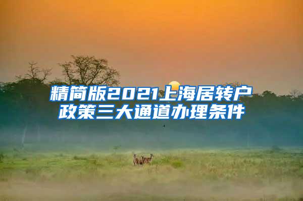 精简版2021上海居转户政策三大通道办理条件