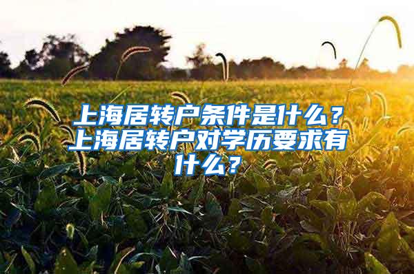 上海居转户条件是什么？上海居转户对学历要求有什么？