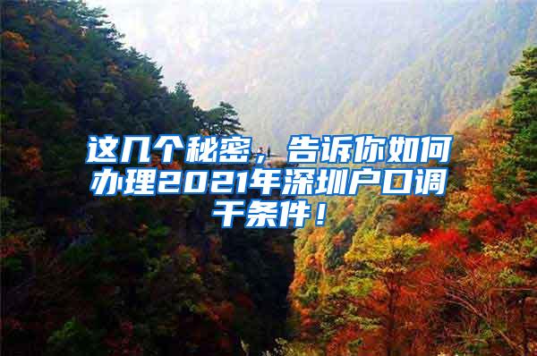 这几个秘密，告诉你如何办理2021年深圳户口调干条件！