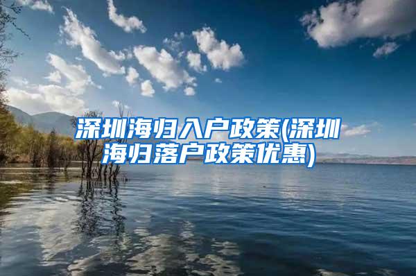 深圳海归入户政策(深圳海归落户政策优惠)