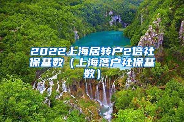 2022上海居转户2倍社保基数（上海落户社保基数）