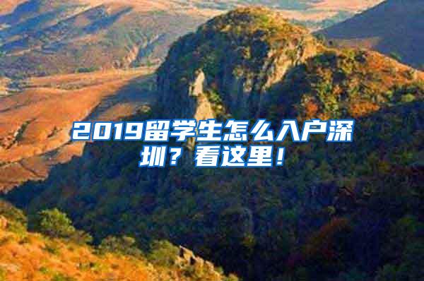 2019留学生怎么入户深圳？看这里！