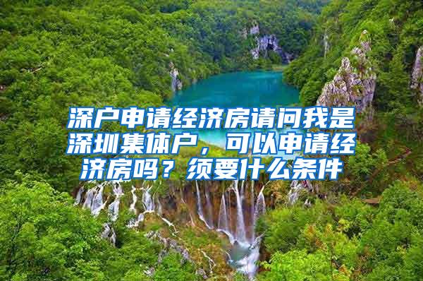 深户申请经济房请问我是深圳集体户，可以申请经济房吗？须要什么条件