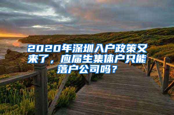 2020年深圳入户政策又来了，应届生集体户只能落户公司吗？