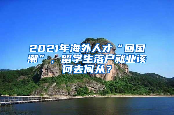 2021年海外人才“回国潮”，留学生落户就业该何去何从？