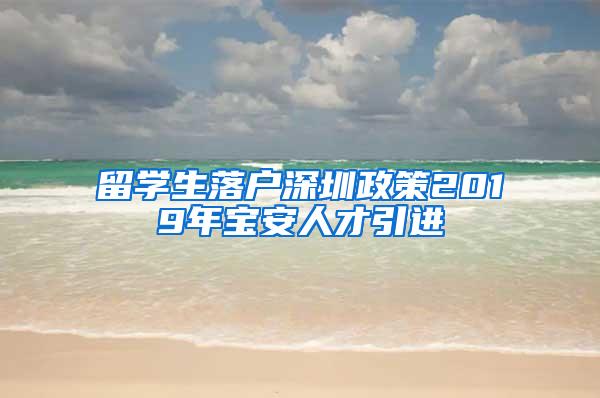 留学生落户深圳政策2019年宝安人才引进