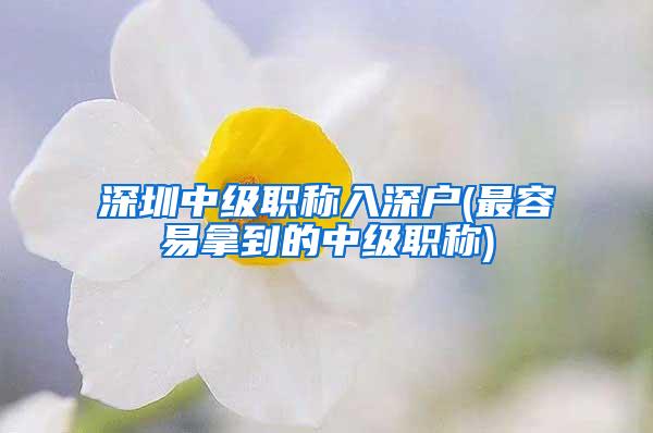 深圳中级职称入深户(最容易拿到的中级职称)