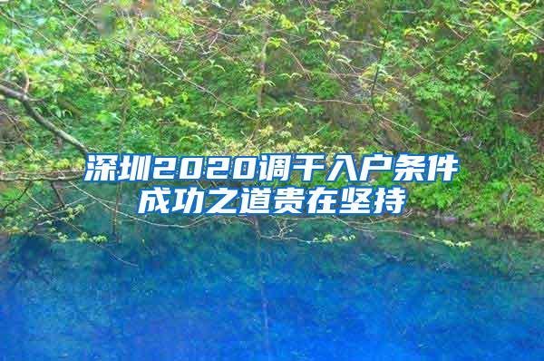 深圳2020调干入户条件成功之道贵在坚持