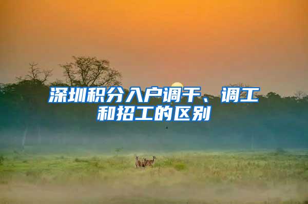 深圳积分入户调干、调工和招工的区别