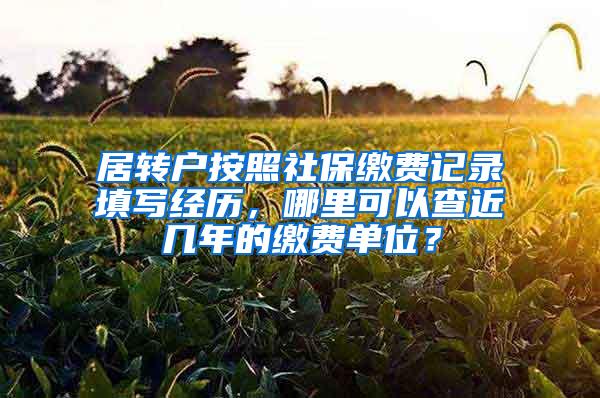 居转户按照社保缴费记录填写经历，哪里可以查近几年的缴费单位？