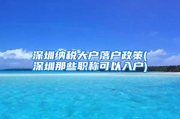 深圳纳税大户落户政策(深圳那些职称可以入户)