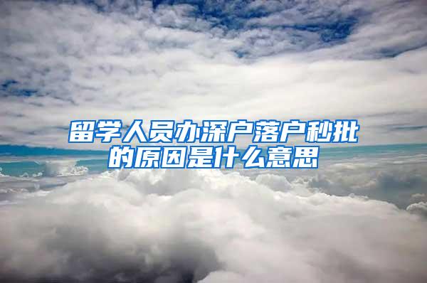 留学人员办深户落户秒批的原因是什么意思