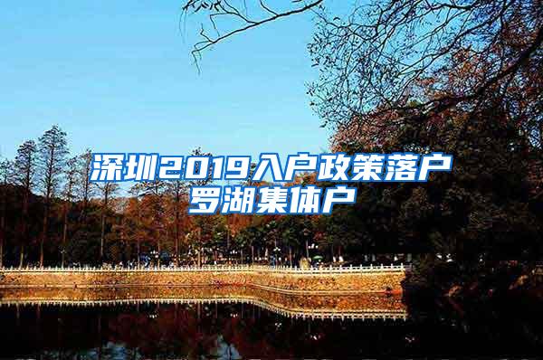 深圳2019入户政策落户罗湖集体户