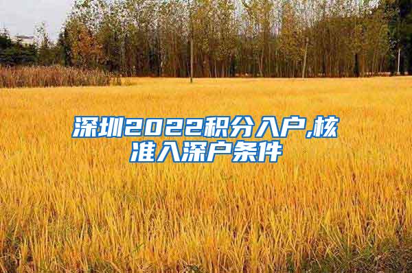 深圳2022积分入户,核准入深户条件