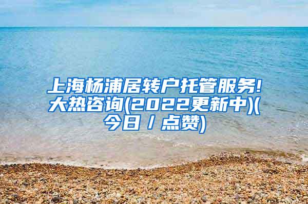 上海杨浦居转户托管服务!大热咨询(2022更新中)(今日／点赞)