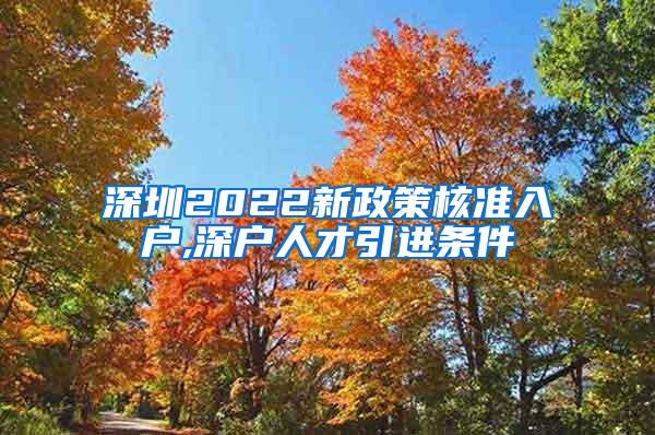 深圳2022新政策核准入户,深户人才引进条件