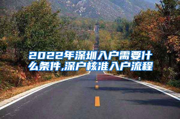 2022年深圳入户需要什么条件,深户核准入户流程