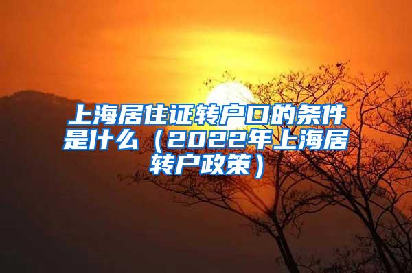 上海居住证转户口的条件是什么（2022年上海居转户政策）