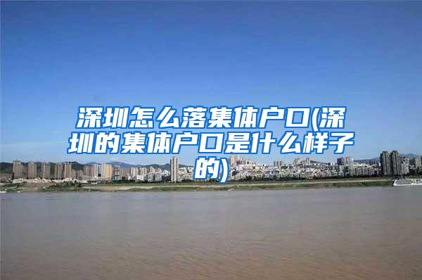 深圳怎么落集体户口(深圳的集体户口是什么样子的)