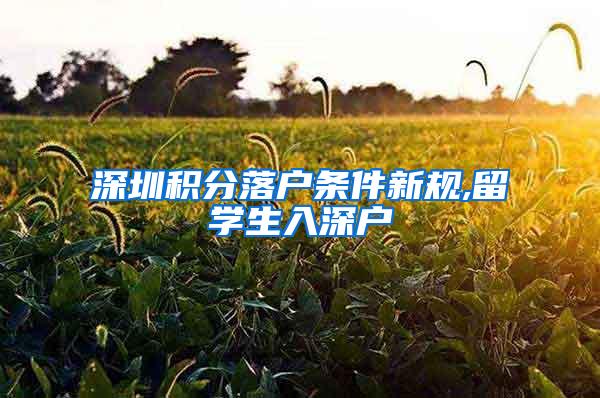 深圳积分落户条件新规,留学生入深户