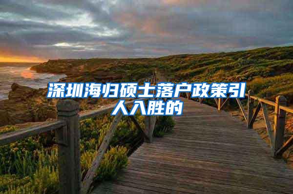 深圳海归硕士落户政策引人入胜的