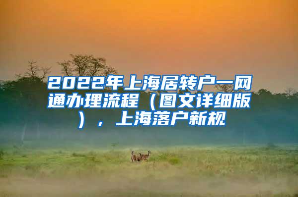 2022年上海居转户一网通办理流程（图文详细版），上海落户新规