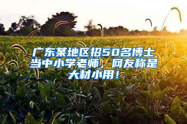 广东某地区招50名博士当中小学老师，网友称是大材小用！