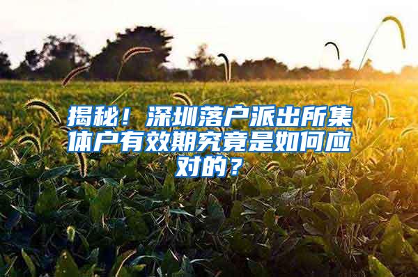 揭秘！深圳落户派出所集体户有效期究竟是如何应对的？