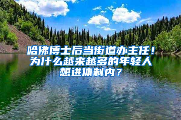 哈佛博士后当街道办主任！为什么越来越多的年轻人想进体制内？