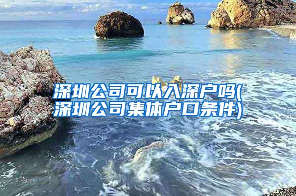 深圳公司可以入深户吗(深圳公司集体户口条件)