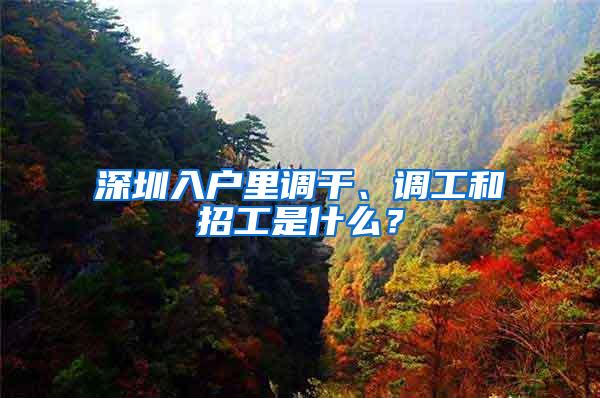 深圳入户里调干、调工和招工是什么？