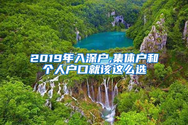 2019年入深户,集体户和个人户口就该这么选